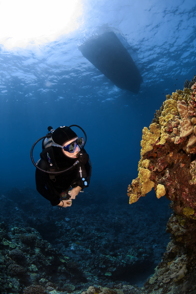 Scuba Diving Sixth Hole Spot Kailua Kona Hawaii USA