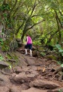 Waipio Valley Trail, Honokaa