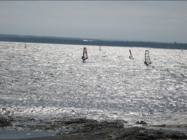 "Windsurfers at Ile d'Orleans"