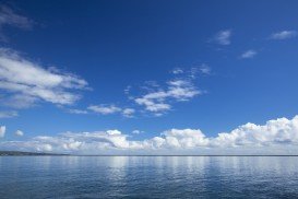 Hillo Breakwall, Hilo