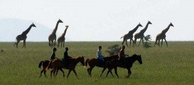 Chyulu Hills National Park