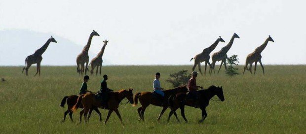 "Chyulu Hills National Park Horseback Riding"