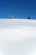 Indian Creek Trail, Wenatchee