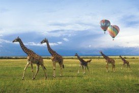 Maasai Mara National Reserve, South Rift Valley