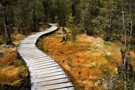 Milford Track, Te Anau