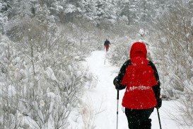 Thorp Mountain Trail, Wenatchee