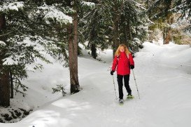 Tonga Ridge Trail, Wenatchee