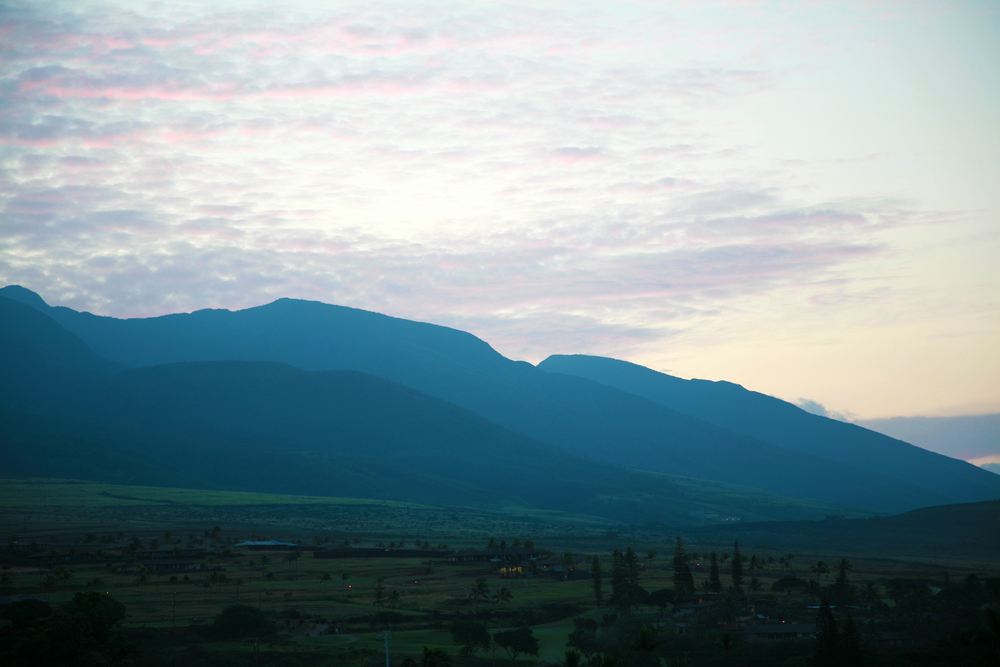 Extreme Hiking Tropical Gardens of Maui Kahului Hawaii USA