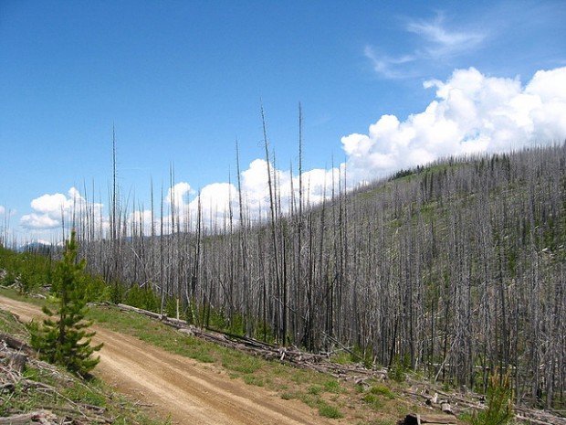 "4WD Entiat Summit Road"