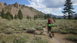 Leavitt Meadow, Sonora