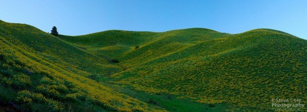 "Bicycling Ollala Canyon Route"