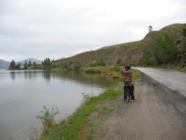 "Bicyclist at Herring Creek"