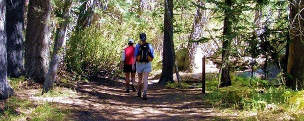 "Big Bear Hikers"