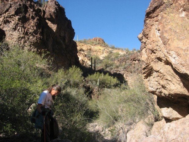 "Boulder Creek Hiker"