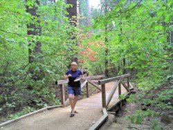 Calaveras Big Trees State Park, Angels Camp