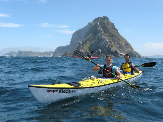 "Cape Point, Cape Town Kayaking"