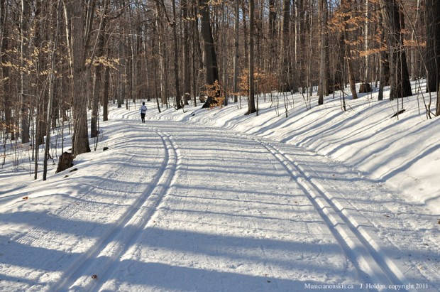 "Cross country skiing at Park National Mont Saint Bruno"