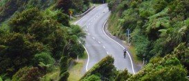 Milford Road, Te Anau