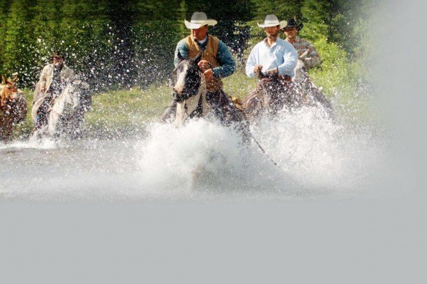 "Deer Lake Horseback Riding"