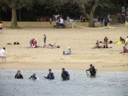 Fairy Bower, Manly