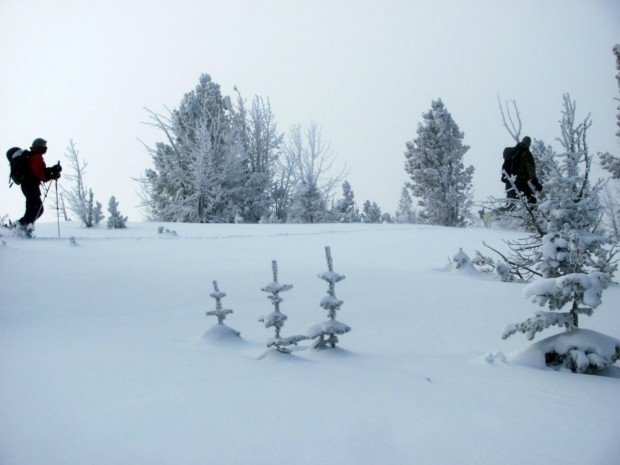 "Dodge Ridge Cross Country Skiing"