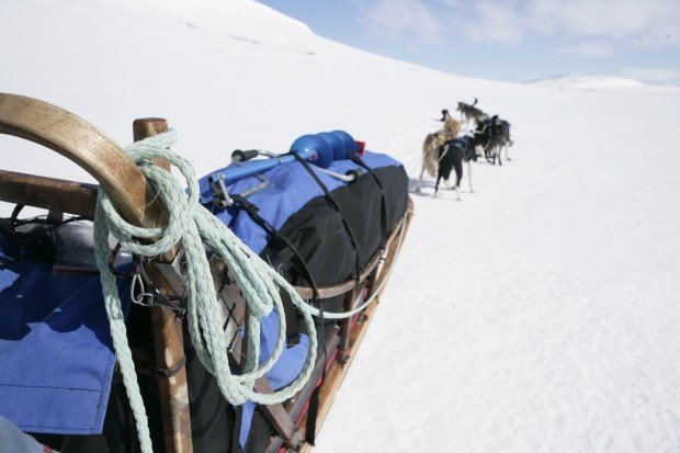 "Dog Sledding Fish Lake Snow Park"