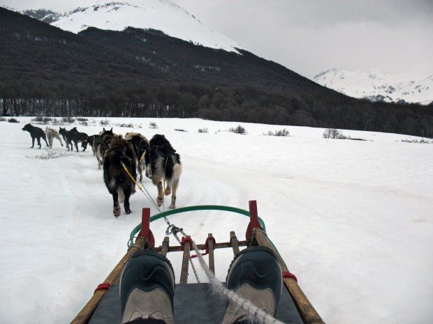 "Dog Sledding Valle Tierra Mayor"