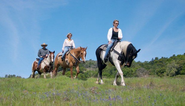 "Ebbetts Pass Horseback Riding"