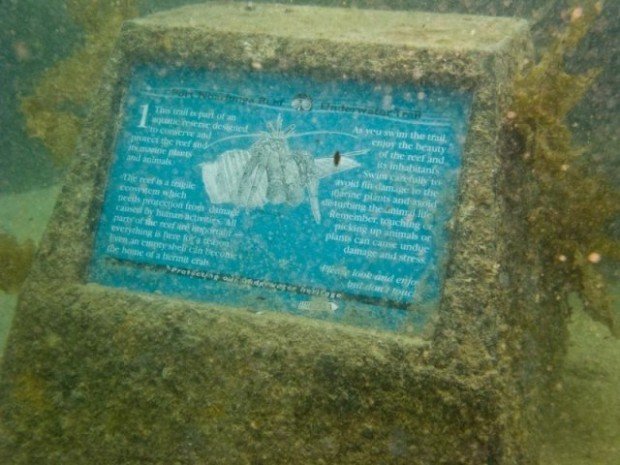 "First Trail Marker at Port Noarlunga Southern Reef"