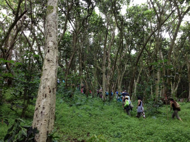 "Hikers at Woodbuck Basin Trailhead"