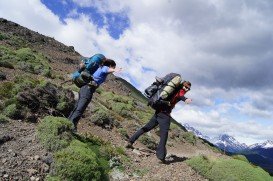 Circuito Glaciar Dickson Trail, Torres del Paine