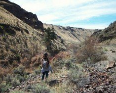 Douglas Creek Canyon: North Trail, Wenatchee