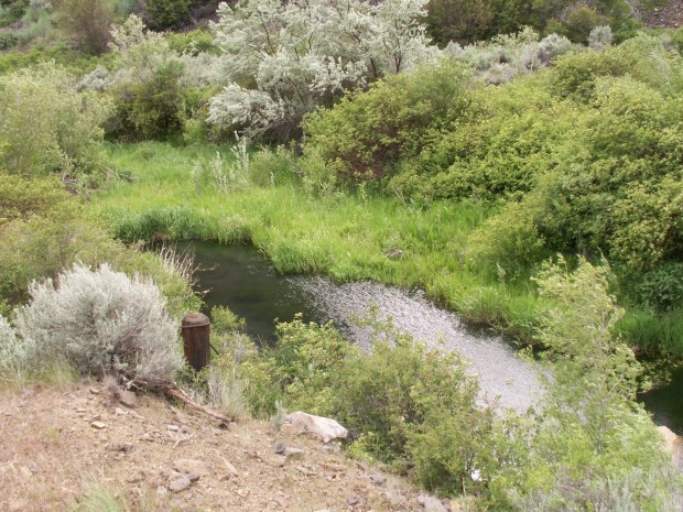 "Hiking Douglas Creek Canyon-North Trail"