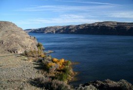 Ginkgo Petrified Forest Interpretive Trails, Wenatchee