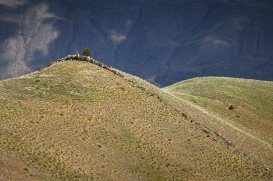 Swakane Canyon Trail, Wenatchee