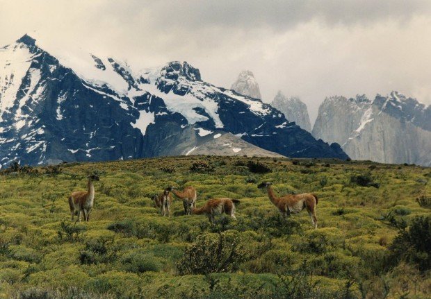 "Hiking The Paine Cirquit Trail"