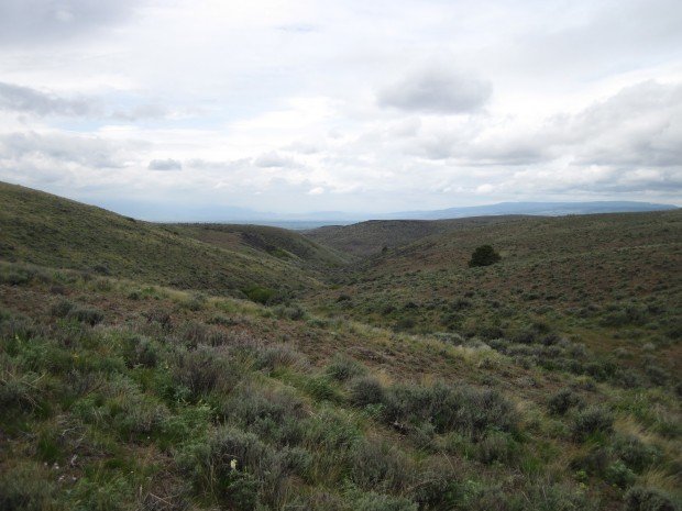 "Hiking Whiskey Dick Wildlife Area"