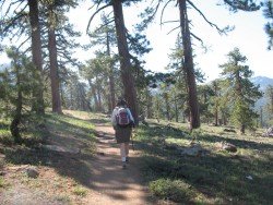 Mount Eddy, Mount Shasta City