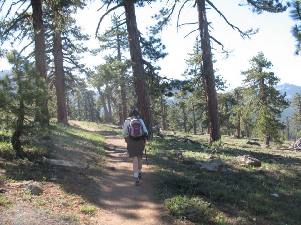 "Hiking at Mount Eddy"