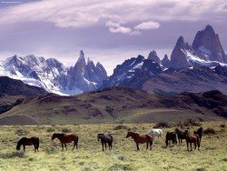 Estancias Ride, Torres del Paine