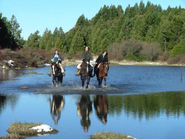"Horse Riding Lago Brush Ride"