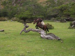 Rio Serrano Ride, Torres del Paine