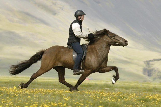 "Horseback Riding Piute Meadows"
