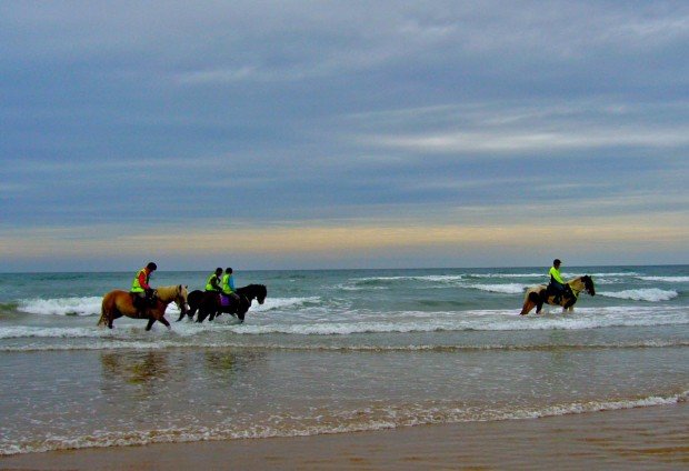 "Horseback Riding at Highland Lakes"