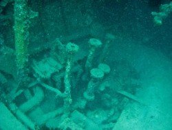 Lumb Wreck, Adelaide