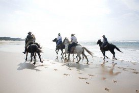 Isimangaliso Wetland Park, Elephant Coast