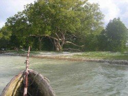 Mida Creek, Watamu Beach & Malindi