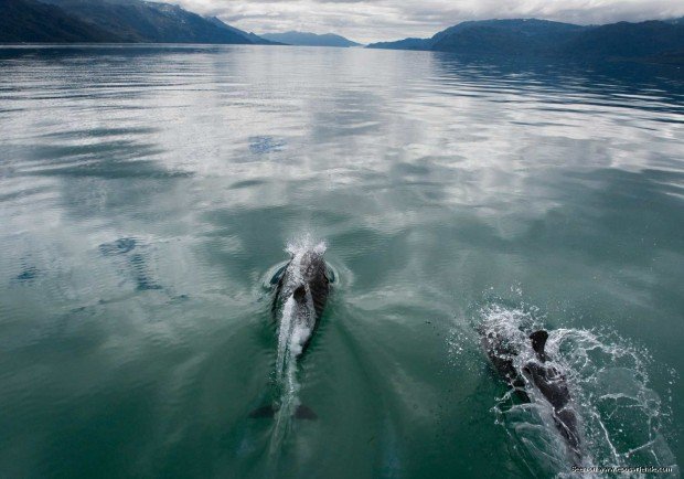 "Kayaking Peel Fjord"