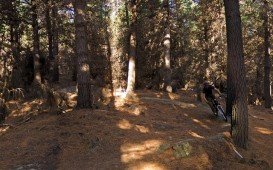 Sticky Forest, Wanaka