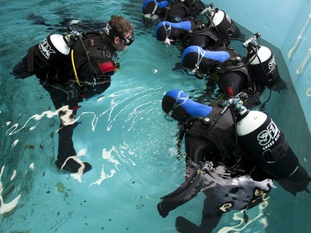 "Manly Cove, Manly Shark Diving"